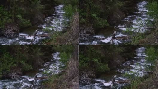 纯净的山溪流水缩小高清在线视频素材下载