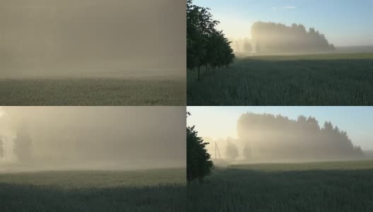 春天的晨雾和农田里的日出高清在线视频素材下载
