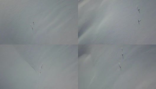 滑雪者从雪山上下来的鸟瞰图，深粉高清在线视频素材下载