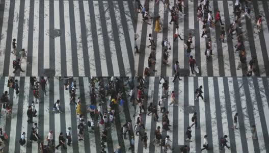 高角度/从上到下拍摄的人走在人行横道。人行横道上有一大群人的大城市。高清在线视频素材下载