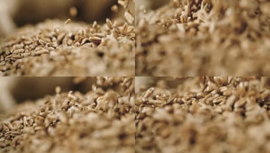 慢动作麦子落在一堆上高清在线视频素材下载