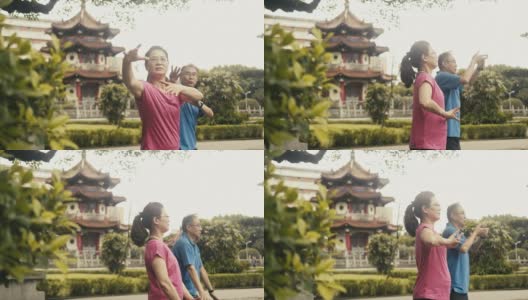 两个活跃的亚洲老年人在公园里打太极(慢动作)高清在线视频素材下载