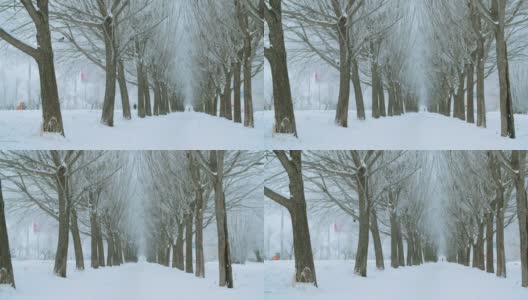 用平移镜头拍摄美丽的冬天的小路和白雪覆盖的树木高清在线视频素材下载