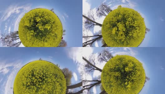 大田盛开的黄色油菜籽小行星的视角高清在线视频素材下载
