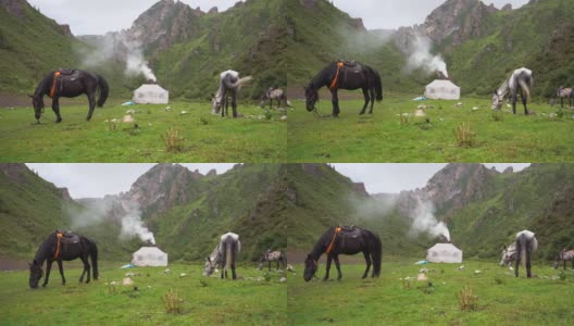 在中国西藏(甘肃)的山区，马在牧民居住的帐篷附近吃草。高清在线视频素材下载
