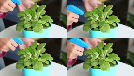 植物浇水高清在线视频素材下载