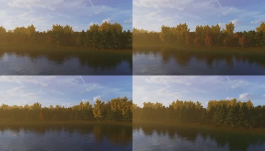 森林在秋天沿着一条河，日落的时候高清在线视频素材下载