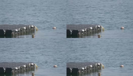 靠近海上的码头高清在线视频素材下载