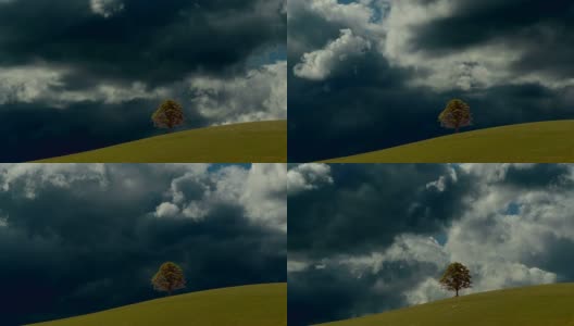 草原山地平线单棵树的建立拍摄，背景为浮云高清在线视频素材下载