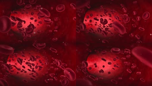 红血球活跃在动脉内，在体内流动，医疗人体保健高清在线视频素材下载