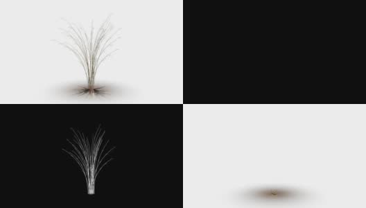 花生长在一个白色工作室的3d渲染阿尔法马特动画高清在线视频素材下载