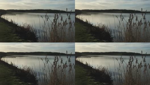 傍晚的光线渐渐淡出湖面，草地的剪影出现在前景中高清在线视频素材下载