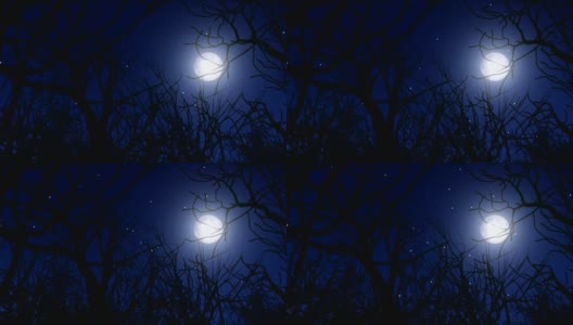 冬夜月光高清在线视频素材下载