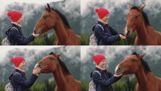 欢乐的女人与马的肖像在秋天的森林高清在线视频素材下载
