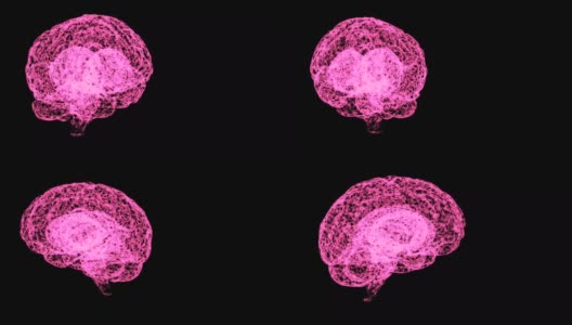 开放空间中粉红色人脑解剖模型的探讨。高清在线视频素材下载
