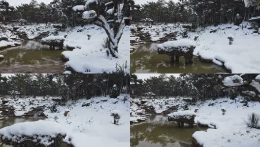 白雪皑皑的河流，森林和河流在冬日里，空中飘雪的河流高清在线视频素材下载