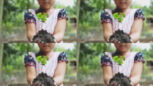 在花园里，孩子手捧着一棵幼苗。孩子们在菜园里种蔬菜。树的手。高清在线视频素材下载