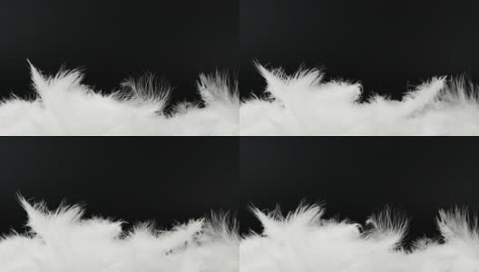 白色蓬松的羽毛落在黑色的背景上高清在线视频素材下载
