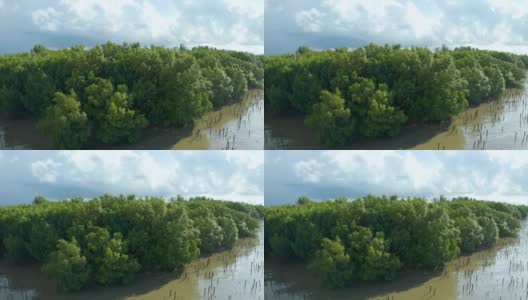 红树林鸟瞰图与蓝天高清在线视频素材下载