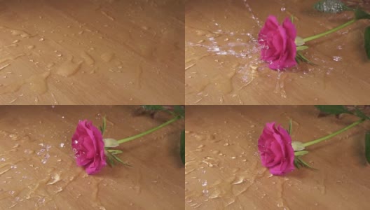 红玫瑰落在木桌上，溅起水花高清在线视频素材下载