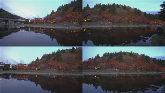 用摇盘拍摄日本名古屋古庆森林公园夜间灯光照明高清在线视频素材下载