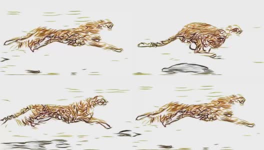 猎豹奔跑铅笔画卡通动画无缝无尽的循环新品质独特的手工动态快乐多彩的视频动物猫的镜头高清在线视频素材下载
