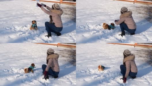 一个女人在雪里和狗玩高清在线视频素材下载