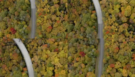 秋天的蓝岭公园大道高清在线视频素材下载