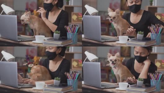 在家庭办公室通过笔记本电脑在线工作的女商人。亚洲年轻企业家戴着口罩，敲着笔记本电脑，在会议中与团队合作交谈，与狗玩耍。高清在线视频素材下载