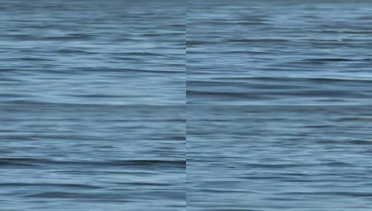 春天苏格兰湖上柔和的波浪高清在线视频素材下载
