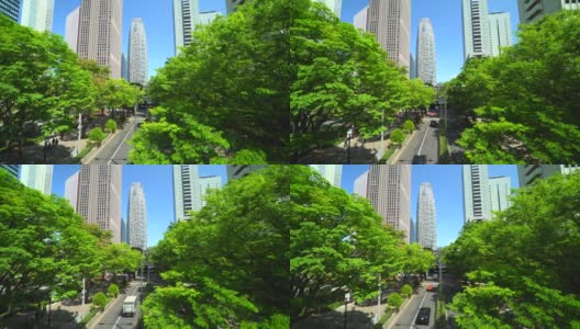 看到美丽的新绿色城市街道高清在线视频素材下载