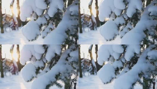 冬天的风景——公园里白雪覆盖着美丽的树木，覆盖着白霜。高清在线视频素材下载