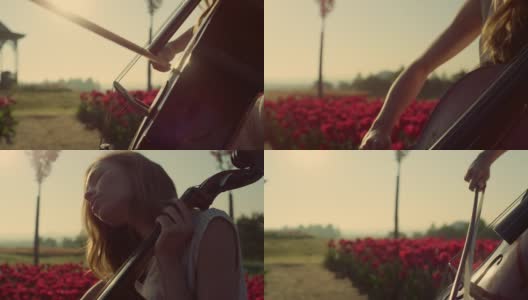 女人手里拿着弓的近距离琴弦。热情的女孩在户外演奏大提琴。高清在线视频素材下载