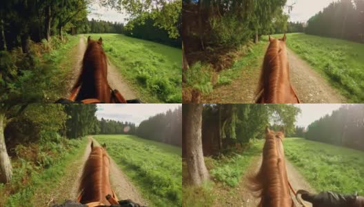 POV骑马穿过森林空地的人高清在线视频素材下载