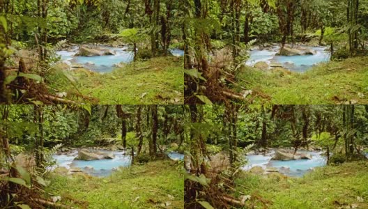 哥斯达黎加的绿松石河高清在线视频素材下载