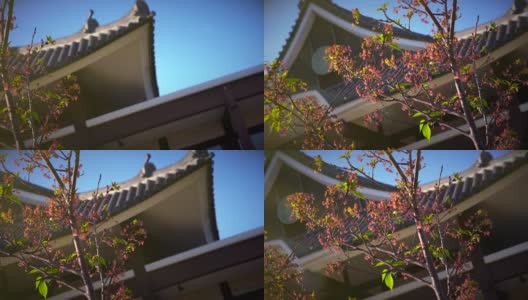 樱花环绕的日本古塔建筑高清在线视频素材下载