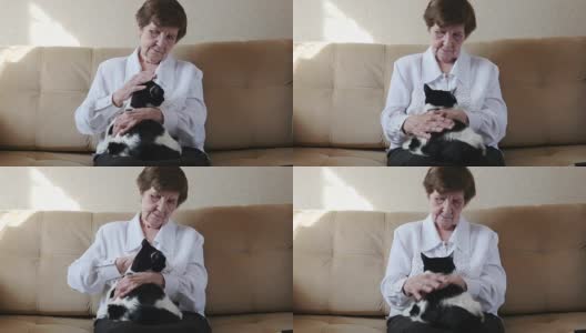 老婆婆抚摸着小猫，奶奶玩着小猫，4k。高清在线视频素材下载