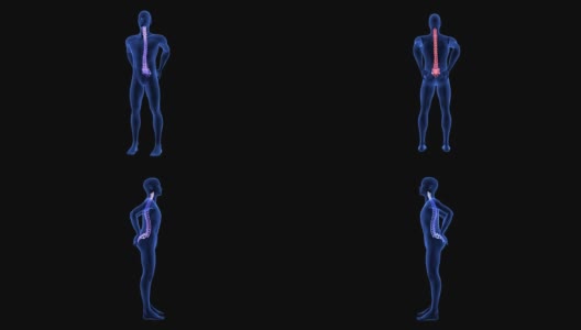 脊椎疼痛。蓝色人体解剖体3D扫描渲染黑色背景-无缝循环高清在线视频素材下载