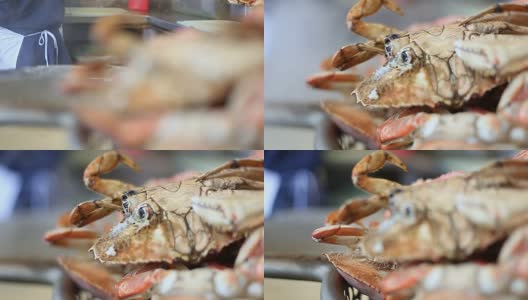近距离烹饪螃蟹高清在线视频素材下载