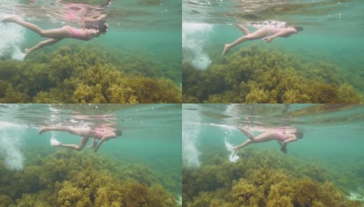 水下的观点浮潜妇女游泳在海洋与海藻草地。高清在线视频素材下载