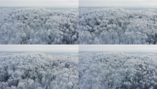 暴风雪后冬季北方自然森林的4K航拍视频，魁北克，加拿大高清在线视频素材下载