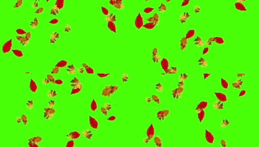 秋叶落环，绿屏色键高清在线视频素材下载