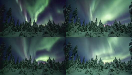 拉普兰白雪覆盖的森林上空的北极光高清在线视频素材下载
