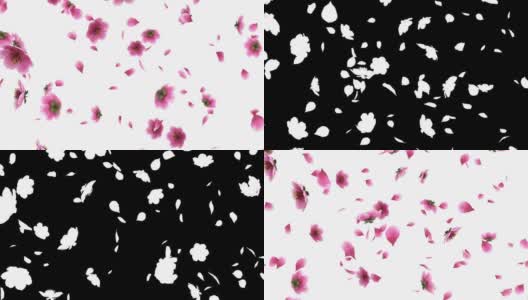 3D动画的粉红色樱花花瓣流动与阿尔法层高清在线视频素材下载