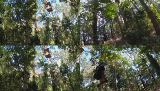 在澳大利亚阳光海岸的一个树梢挑战冒险公园里，一名男子从树上滑下来。高清在线视频素材下载