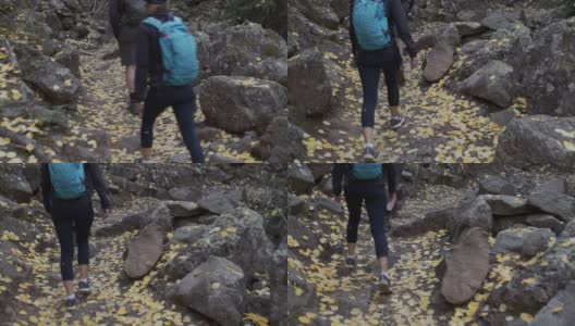 手持式的男性和女性一起在户外徒步旅行在科罗拉多附近的大梅萨国家森林在美丽的9月秋天的颜色高清在线视频素材下载
