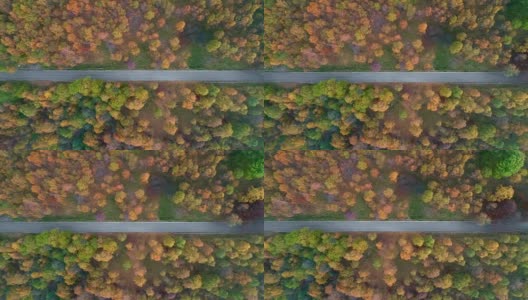 头顶侧空中鸟瞰图跟随在五颜六色的乡村秋天森林的道路。秋天有橙、绿、黄、红的树林。街头路径制订者。4k无人机飞行直线下降建立拍摄高清在线视频素材下载
