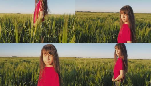 麦田里快乐的孩子高清在线视频素材下载