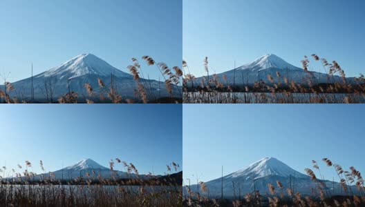 蓝天下的冬季富士山景观高清在线视频素材下载