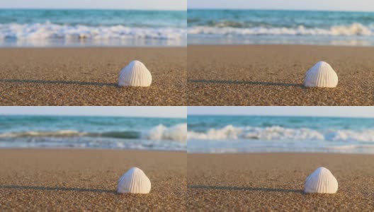 沙滩上的白色贝壳和阳光明媚的夏日里的海浪。海滩度假的概念高清在线视频素材下载